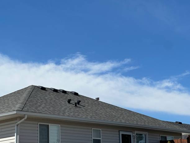 Best Sheet Metal Roofing  in , OR